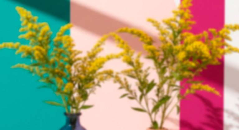 Solidago – Golden Glory